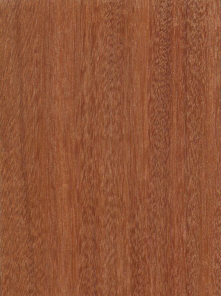 Sapele wood miami fl